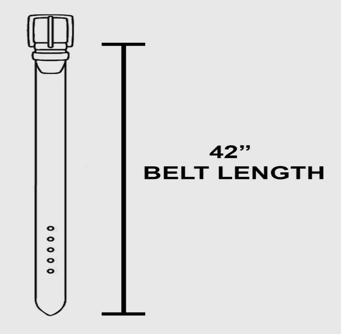 Silver + Turquoise Concho Disc Chain Belt