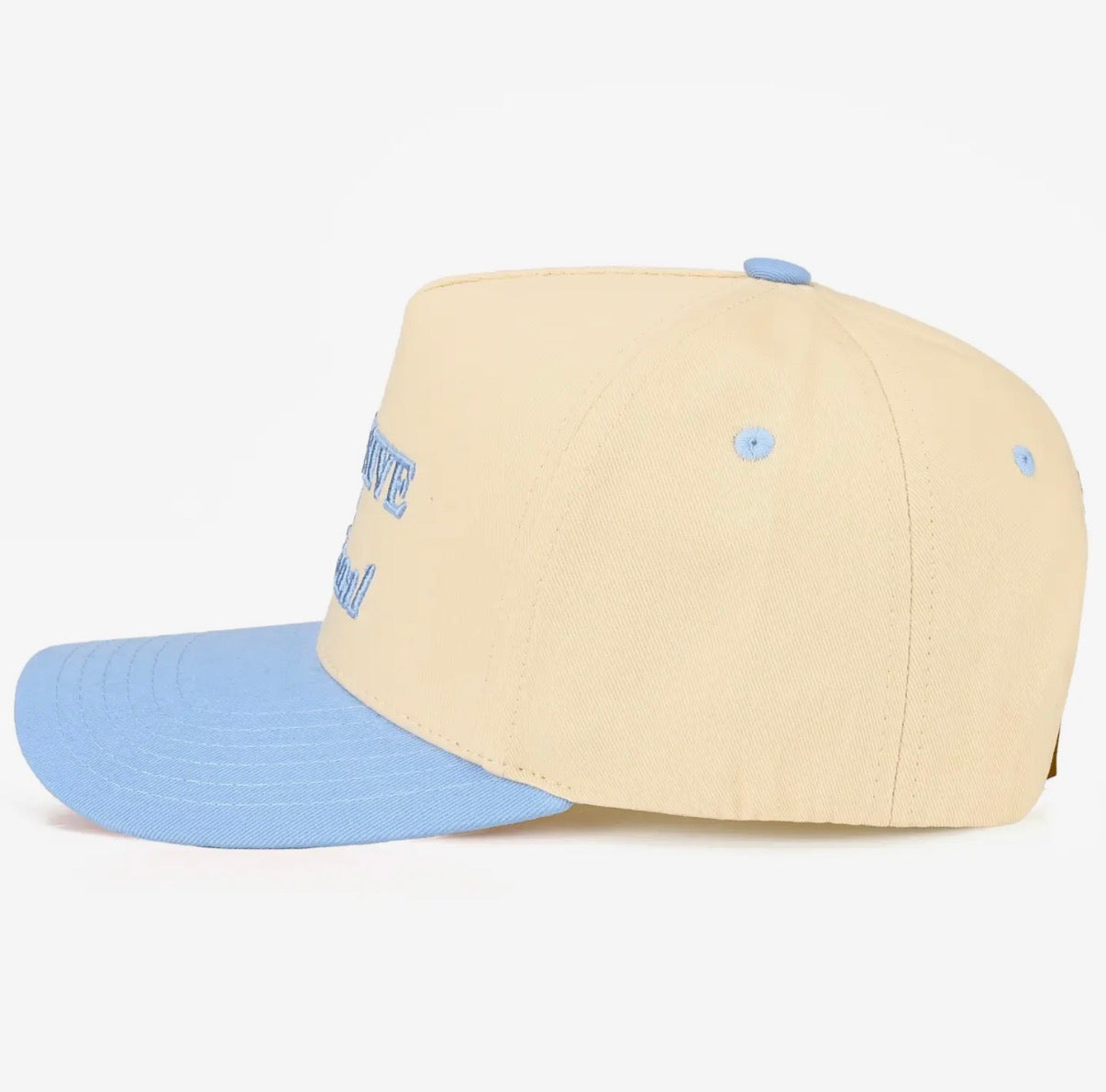 Expensive & Delusional Embroidered Trucker Hat